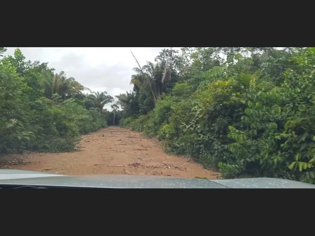 Imagem 3: Terreno no Ramal do Janauari, Seu Refúgio Particular Às Margens do Igarapé