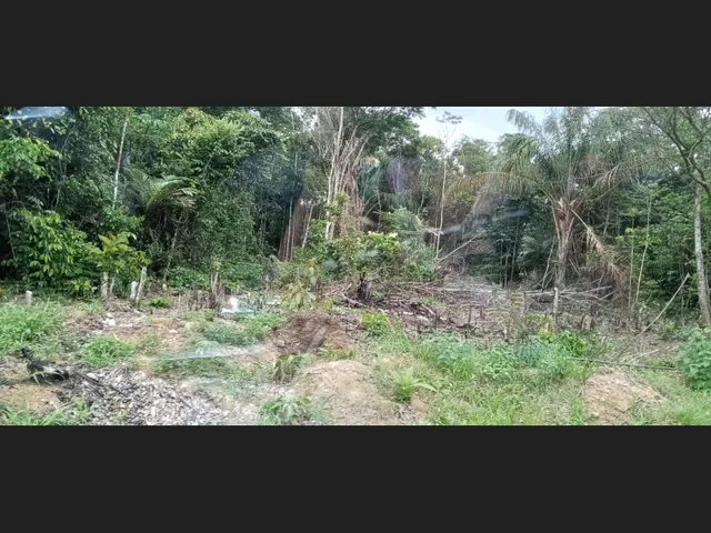 Imagem 6: Terreno no Ramal do Janauari, Seu Refúgio Particular Às Margens do Igarapé