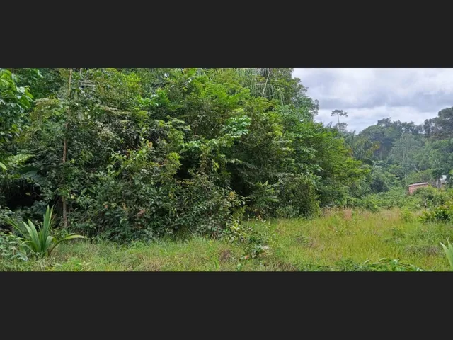 Imagem 5: Terreno no Ramal do Janauari, Seu Refúgio Particular Às Margens do Igarapé