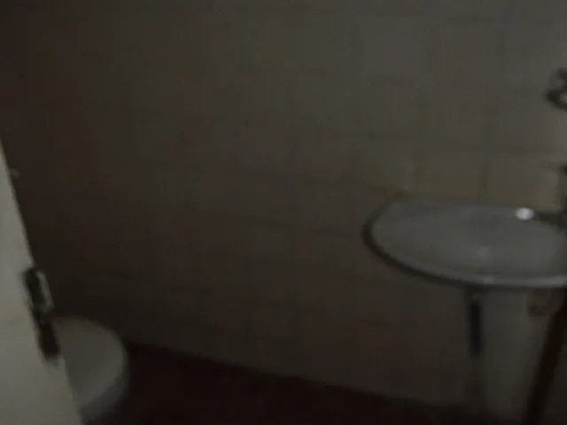 Imagem 4: Vendo Galpão Comercial com 2 Apartamentos de 3 Quartos Setor Leste Universitário