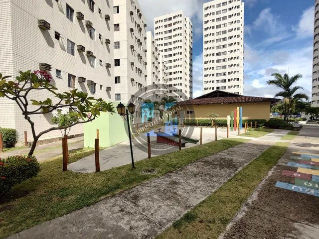 Imagem 3: Apartamento com 5 dormitórios
