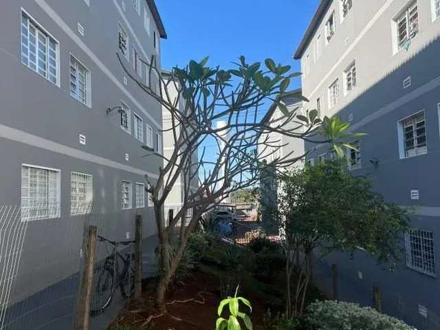 Imagem 11: Excelente apartamento no Jardim Centenário