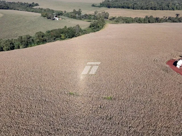 Imagem: ÁREA RURAL 12 HECTARES - CASCAVEL