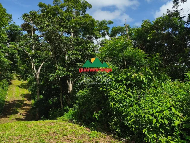 Imagem: Gleba a venda com 915,57m² com energia