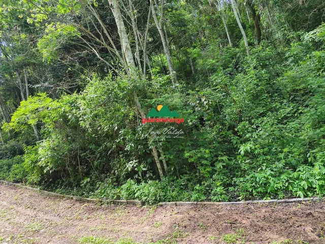 Imagem 3: Gleba a venda com 915,57m² com energia e sinal de celular, pagamentos facilitado