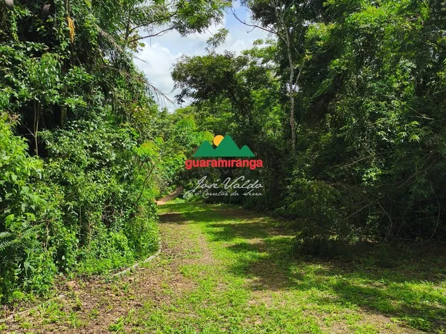 Imagem 5: Gleba a venda com 915,57m² com energia e sinal de celular, pagamentos facilitado