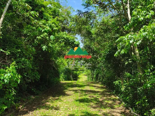 Imagem 7: Gleba a venda com 915,57m² com energia e sinal de celular, pagamentos facilitado