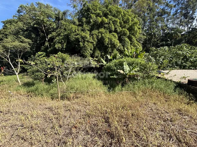 Imagem 3: Terreno com 1.205 m² em excelente localização