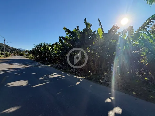 Imagem: Terreno de frente para Estrada Bananal do