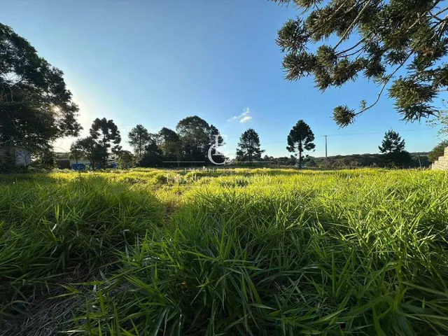 Imagem: Área à venda em Piraquara, Águas Claras