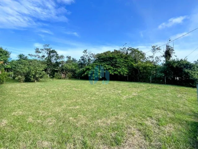 Imagem 5: Amplo Terreno a Poucos Metros da Lagoa da Ibiraquera, Surfland e Praia do Rosa, Limpa