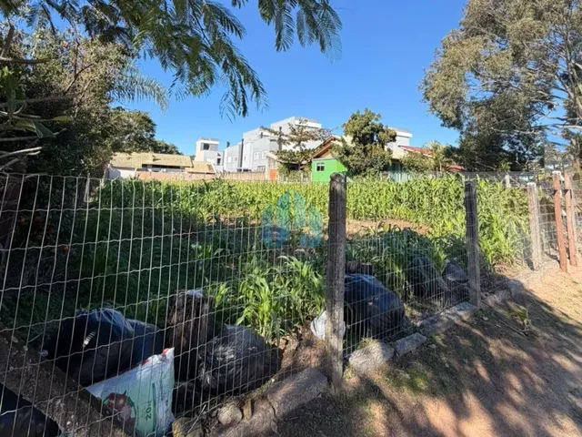 Imagem 4: Ótimo Terreno Localizado ao Lado do Centro da Cidade, Ferraz