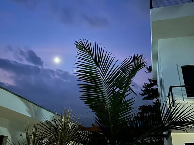Imagem 4: Casa Padrão em Garopaba, Campo duna
