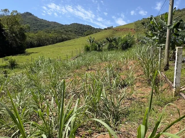 Imagem 2: Sítio a venda em Tijucas bairro Oliveira