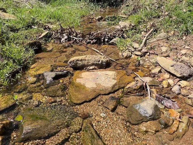 Imagem 8: Sítio a venda em Tijucas bairro Oliveira