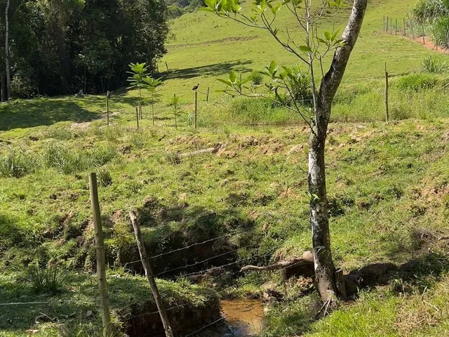 Imagem 7: Sítio a venda em Tijucas bairro Oliveira