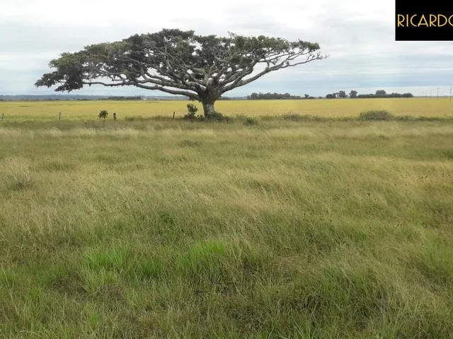 Imagem: A fazenda está localizado em Centro, Viamão à venda por