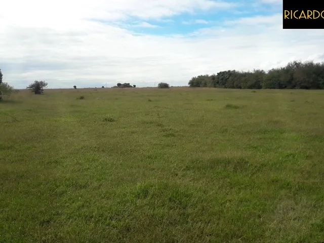 Imagem 2: Fazenda em Viamão | 345 Hectares | Dupla Aptidão