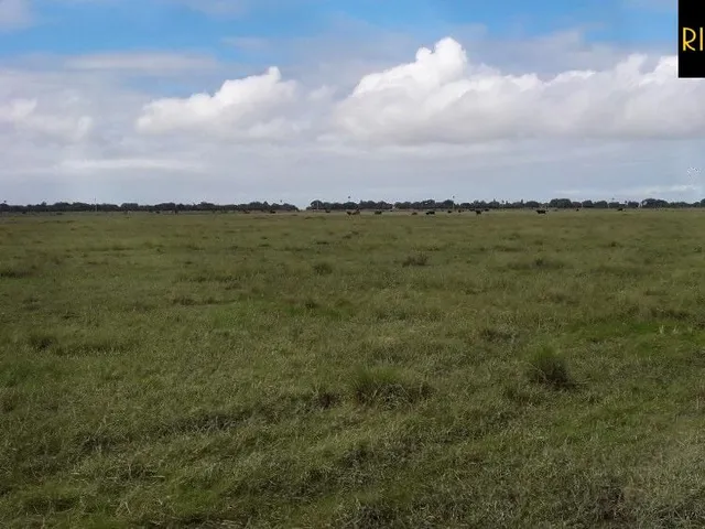 Imagem 11: Fazenda em Viamão | 345 Hectares | Dupla Aptidão