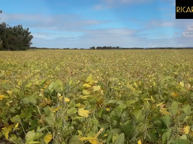Imagem 4: Fazenda em Viamão | 345 Hectares | Dupla Aptidão