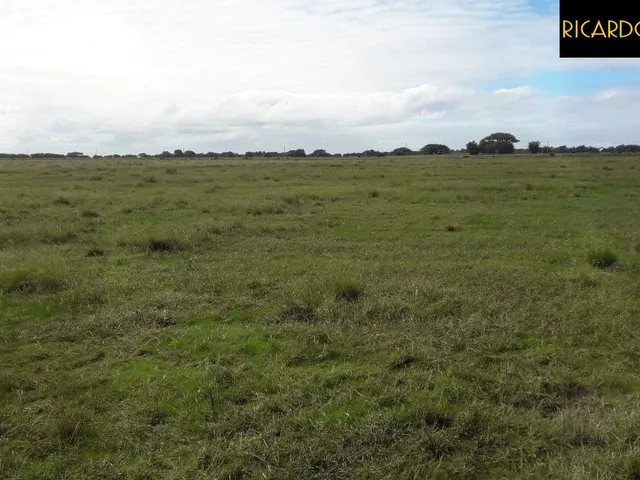 Imagem 12: Fazenda em Viamão | 345 Hectares | Dupla Aptidão
