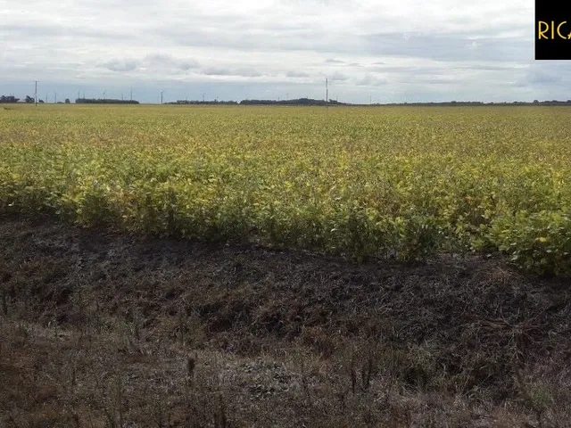 Imagem 13: Fazenda em Viamão | 345 Hectares | Dupla Aptidão