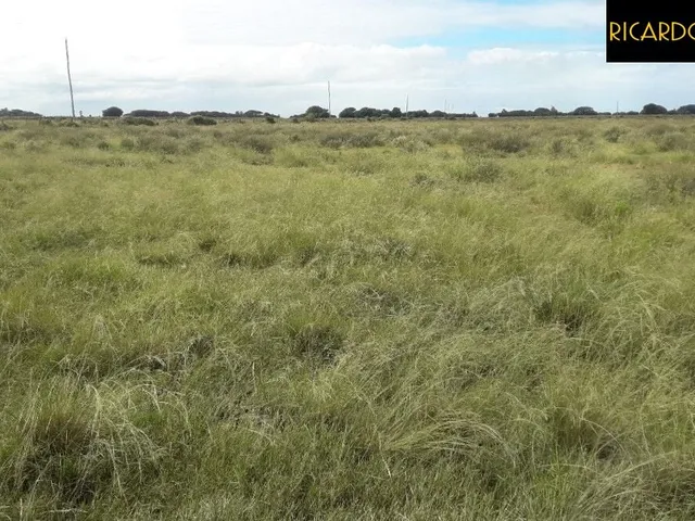 Imagem 10: Fazenda em Viamão | 345 Hectares | Dupla Aptidão