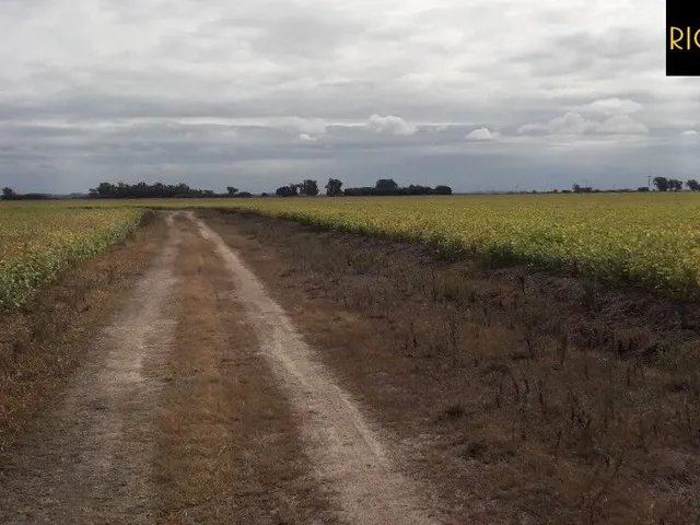 Imagem 7: Fazenda em Viamão | 345 Hectares | Dupla Aptidão