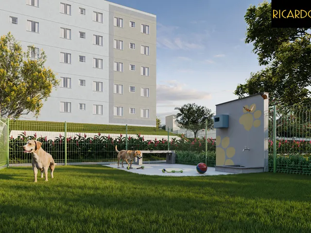Imagem 12: Mrv | Residencial Porto Guarani | Vila Nova