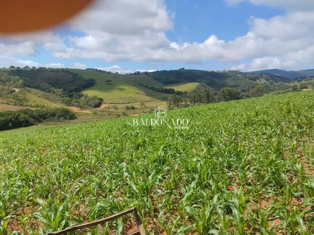 Imagem: A fazenda possui 9 Dormitórios, 1 Suíte, 10 Banheiros,