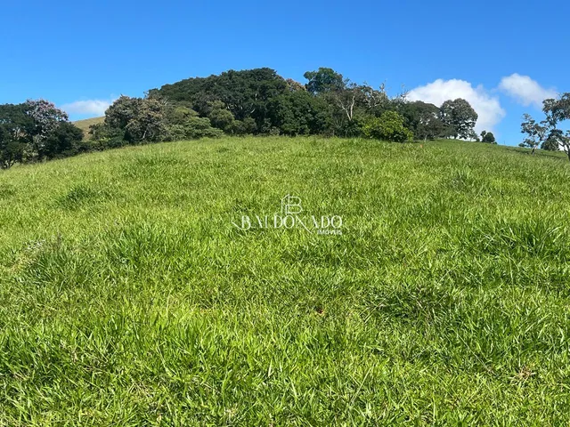 Imagem 3: FAZENDA À VENDA EM JACUÍ MG OPORTUNIDADE ÚNICA NO AGRONEGÓCIO
