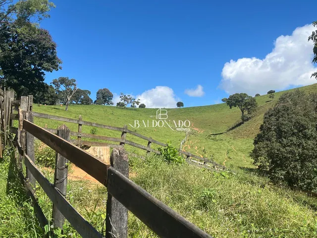 Imagem 4: FAZENDA À VENDA EM JACUÍ MG OPORTUNIDADE ÚNICA NO AGRONEGÓCIO