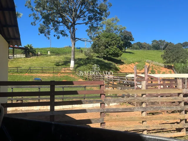 Imagem 6: FAZENDA À VENDA EM JACUÍ MG OPORTUNIDADE ÚNICA NO AGRONEGÓCIO