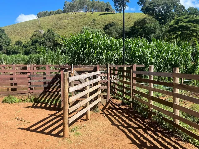 Imagem 8: FAZENDA À VENDA EM JACUÍ MG OPORTUNIDADE ÚNICA NO AGRONEGÓCIO