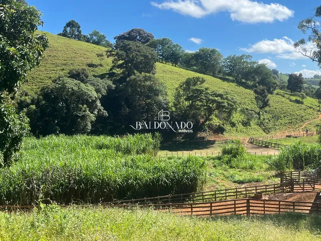 Imagem 16: FAZENDA À VENDA EM JACUÍ MG OPORTUNIDADE ÚNICA NO AGRONEGÓCIO