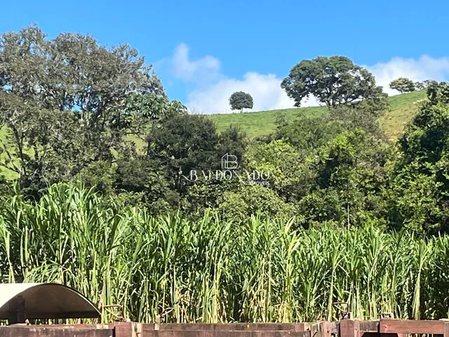 Imagem 14: FAZENDA À VENDA EM JACUÍ MG OPORTUNIDADE ÚNICA NO AGRONEGÓCIO