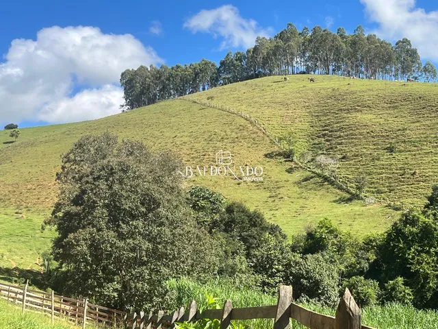 Imagem 12: FAZENDA À VENDA EM JACUÍ MG OPORTUNIDADE ÚNICA NO AGRONEGÓCIO