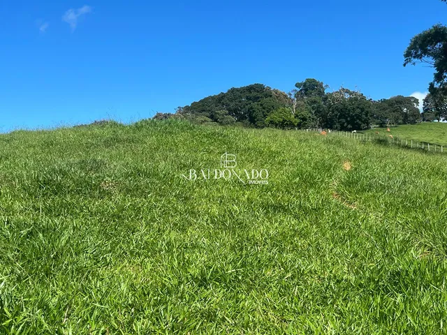 Imagem 10: FAZENDA À VENDA EM JACUÍ MG OPORTUNIDADE ÚNICA NO AGRONEGÓCIO