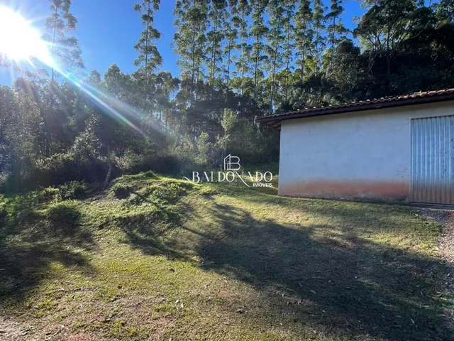 Imagem 7: SITIO EM TOLEDO MG 6 HECTARES 9km CIDADE 2 NASCENTES VISTA MONTANHA ESCRITURA