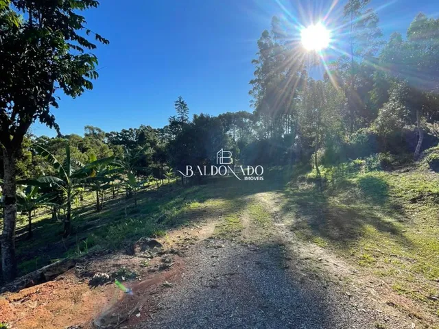 Imagem 8: SITIO EM TOLEDO MG 6 HECTARES 9km CIDADE 2 NASCENTES VISTA MONTANHA ESCRITURA