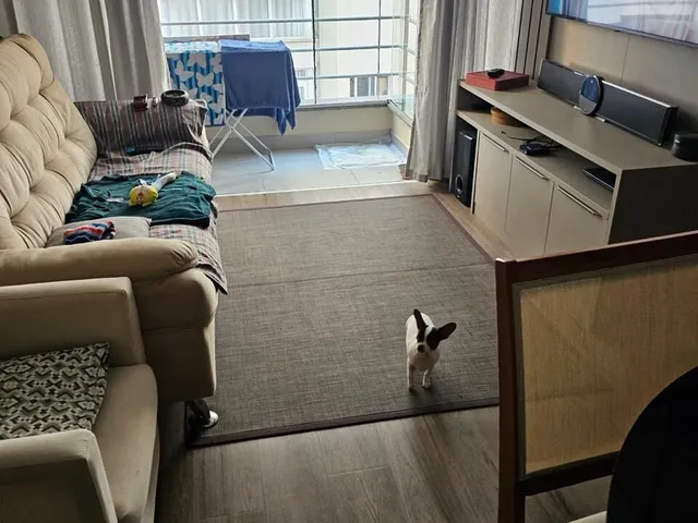Imagem 6: Apartamento à venda no bairro Centro - Florianópolis/SC