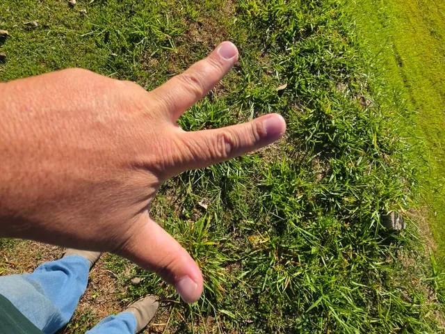 Imagem 6: TERRENO RESIDENCIAL em POÇOS DE CALDAS - MG, BORTOLAN NORTE I