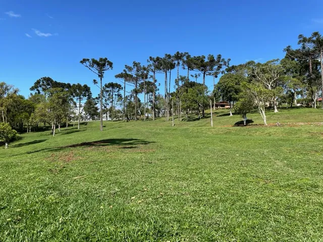 Imagem: Terreno à venda em Campo Alegre-SC, bairro