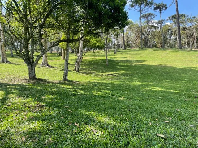Imagem 6: Terreno à venda em Campo Alegre-SC, bairro Bateias de Baixo, com 15.000m² de área!