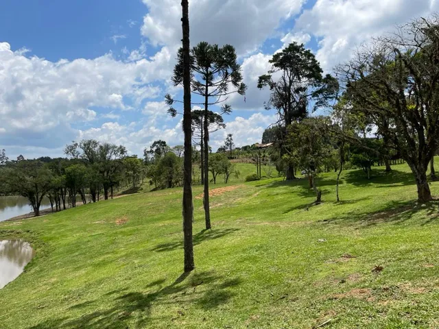 Imagem 2: Terreno à venda em Campo Alegre-SC, bairro Bateias de Baixo, com 15.000m² de área!