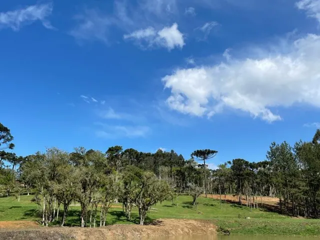 Imagem 5: Terreno à venda em Campo Alegre-SC, bairro Bateias de Baixo, com 15.000m² de área!