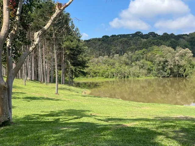 Imagem 10: Terreno à venda em Campo Alegre-SC, bairro Bateias de Baixo, com 15.000m² de área!