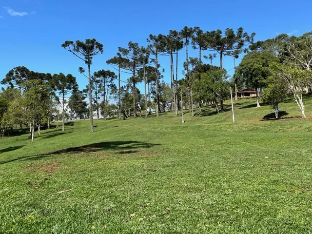 Imagem 9: Terreno à venda em Campo Alegre-SC, bairro Bateias de Baixo, com 15.000m² de área!