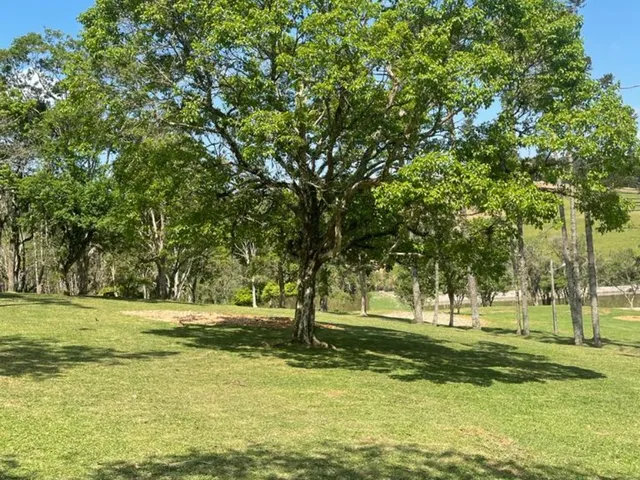 Imagem 3: Terreno à venda em Campo Alegre-SC, bairro Bateias de Baixo, com 15.000m² de área!