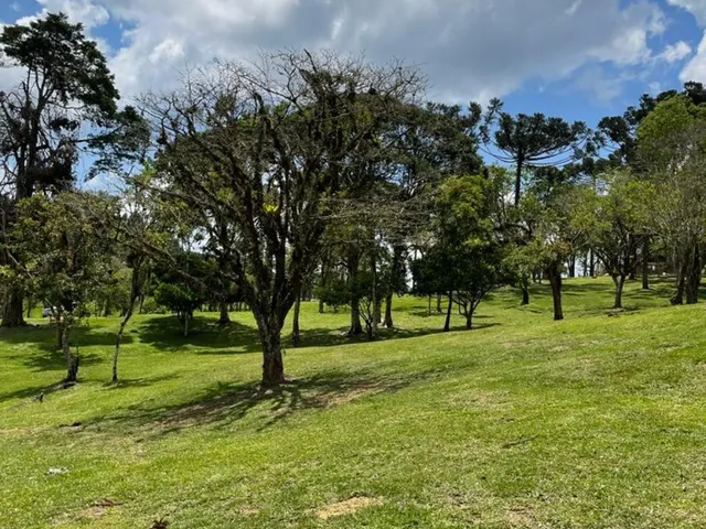 Imagem 7: Terreno à venda em Campo Alegre-SC, bairro Bateias de Baixo, com 15.000m² de área!